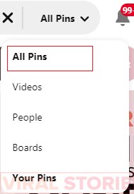 Search all pins on pinterest